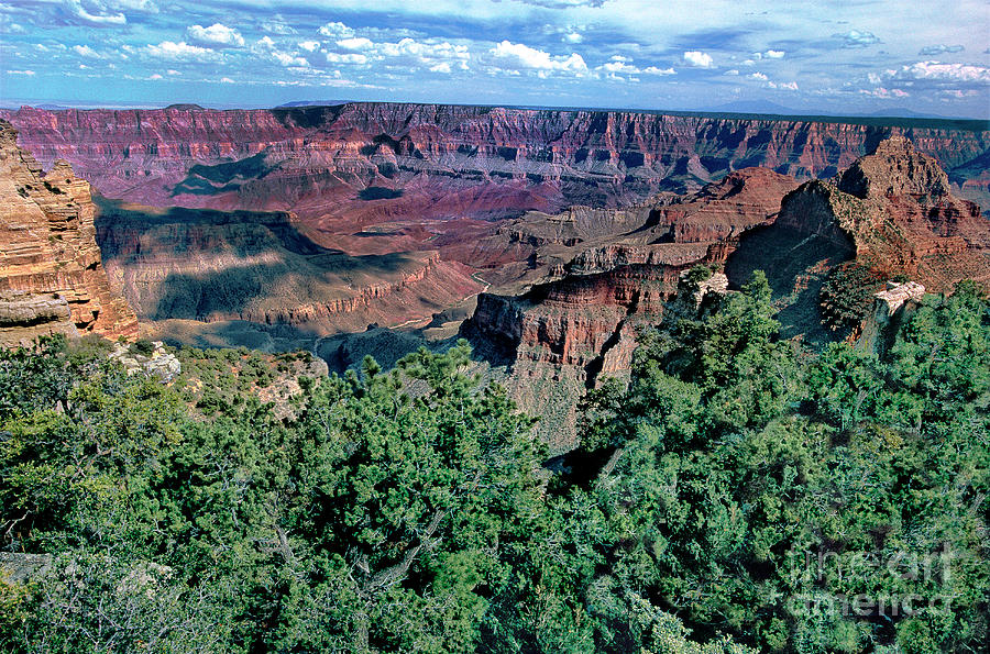 Walhalla Overlook North Rim Grand Canyon National Par Photograph by Dave Welling