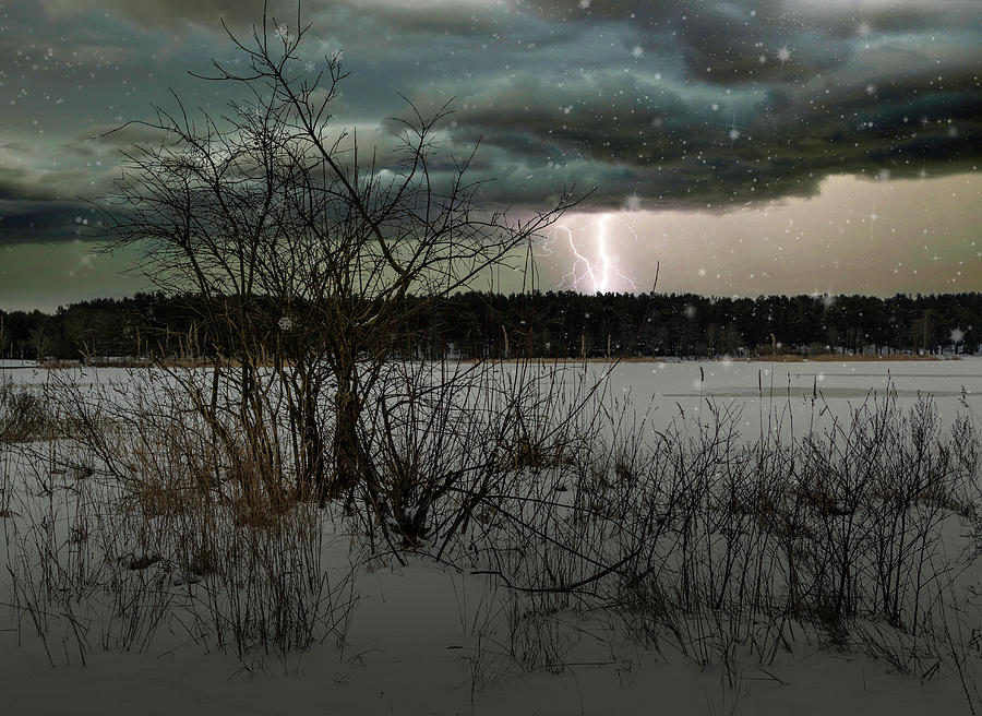 Walk Along The Winter Riverside Latvia  Photograph by Aleksandrs Drozdovs