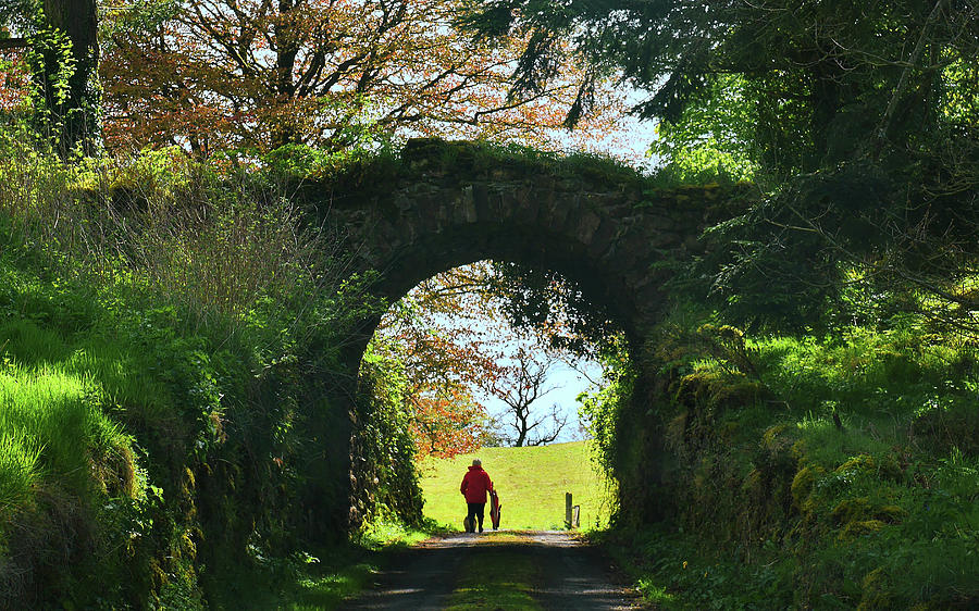 Walk in the Country - Northern Ireland Photograph by Lexa Harpell