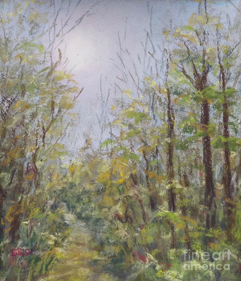 Walk in the Woods Drawing by Lisa Bliss Rush Walk in the Woods Drawing by Lisa Bliss Rush