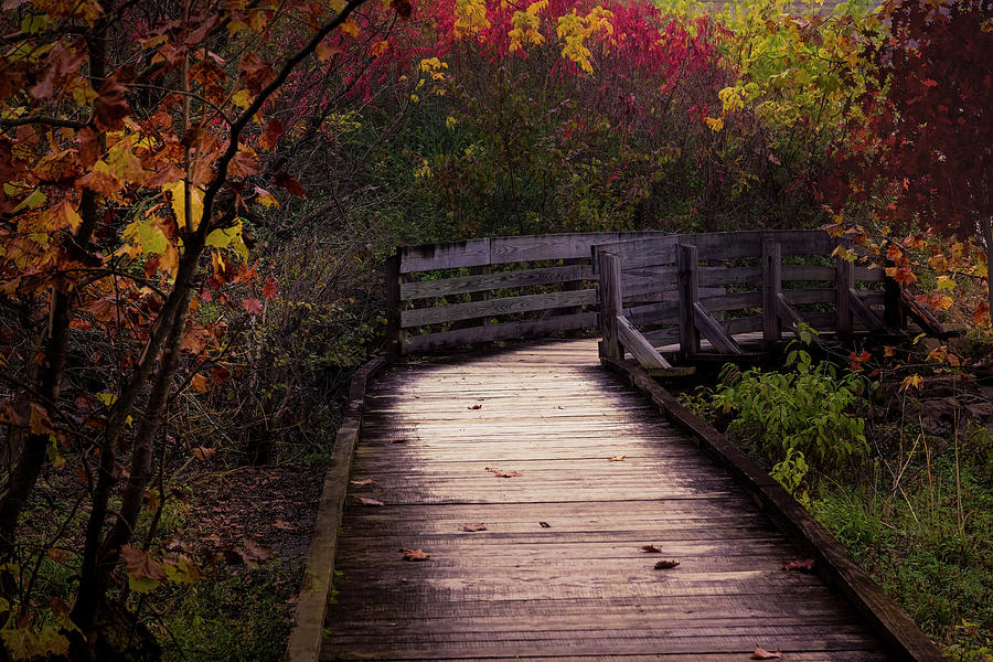 Walk into Nightfall Autumn Beauty Photograph by Debra and Dave Vanderlaan