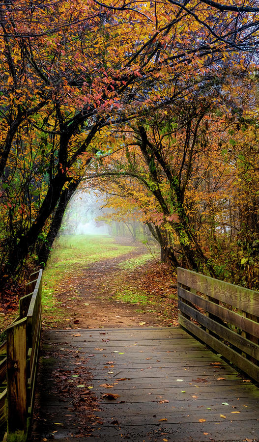 Walk into the Misty Morning Photograph by Debra and Dave Vanderlaan
