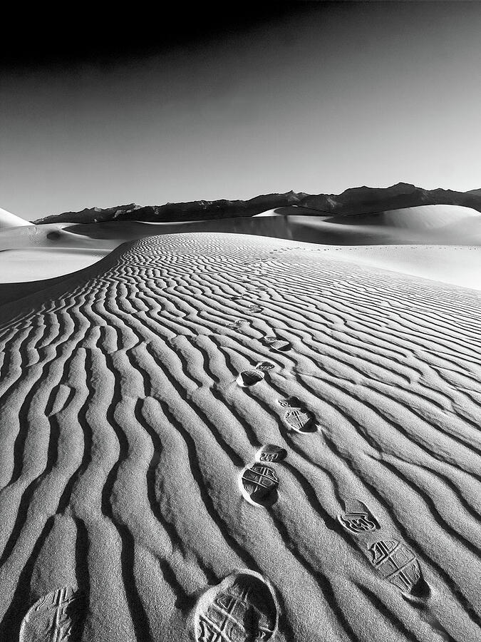 Walk This Way Photograph by Joe Schofield Walk This Way Photograph by Joe Schofield