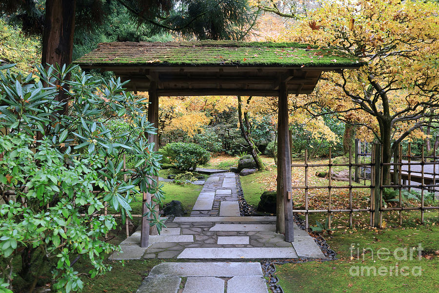 Walk through Portlands Japanese Garden in Autumn Photograph by Carol Groenen