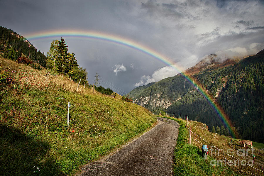 Walk under the Rainbow Photograph by Thomas Nay