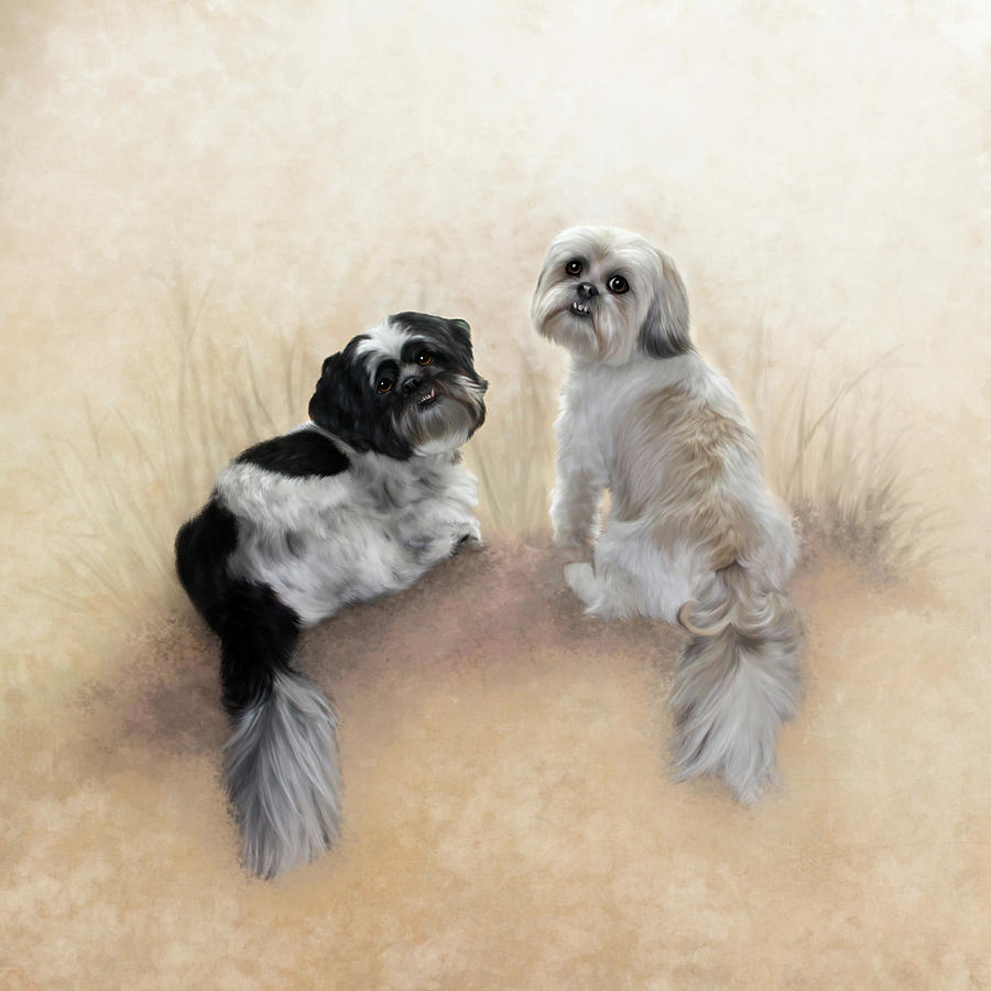 Shih Tzu Dogs Digital Art - Walker - Autumn by Ann Lauwers