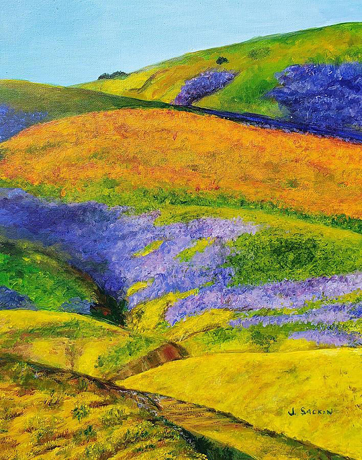 Walker Canyon Super Bloom Digital Art by Paul Tormey - Pixels