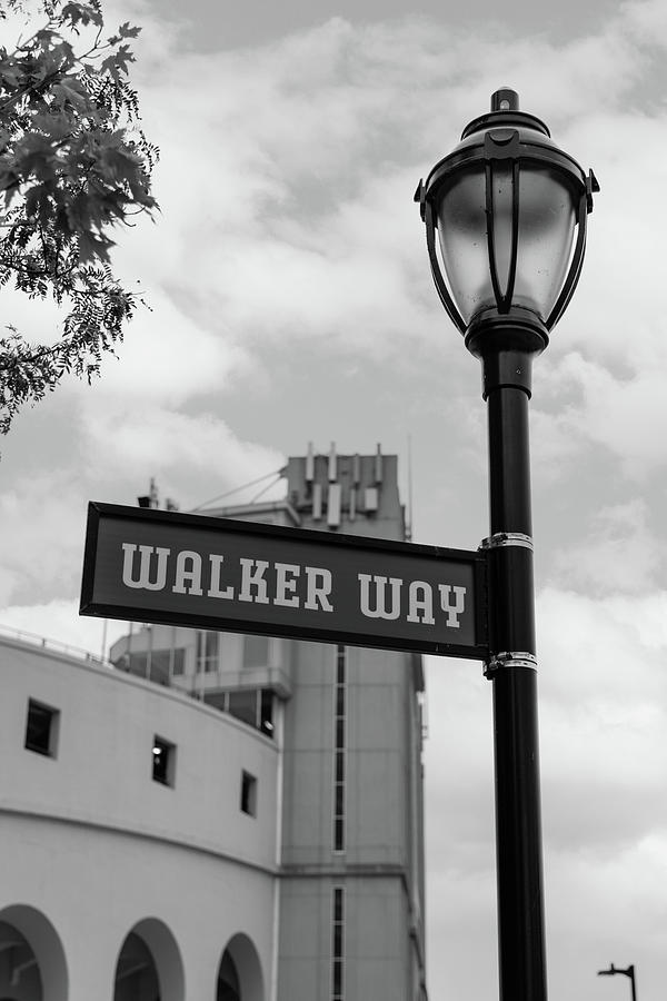 Walker Way at Northwester Football Stadium Ryan Field  Photograph by John McGraw