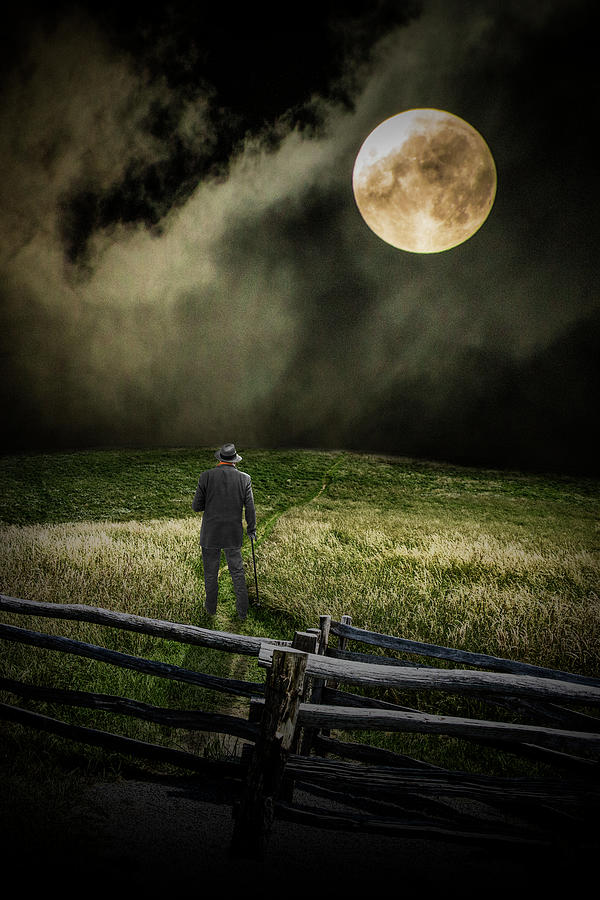 Walking a Moon Lit Path  Photograph by Randall Nyhof