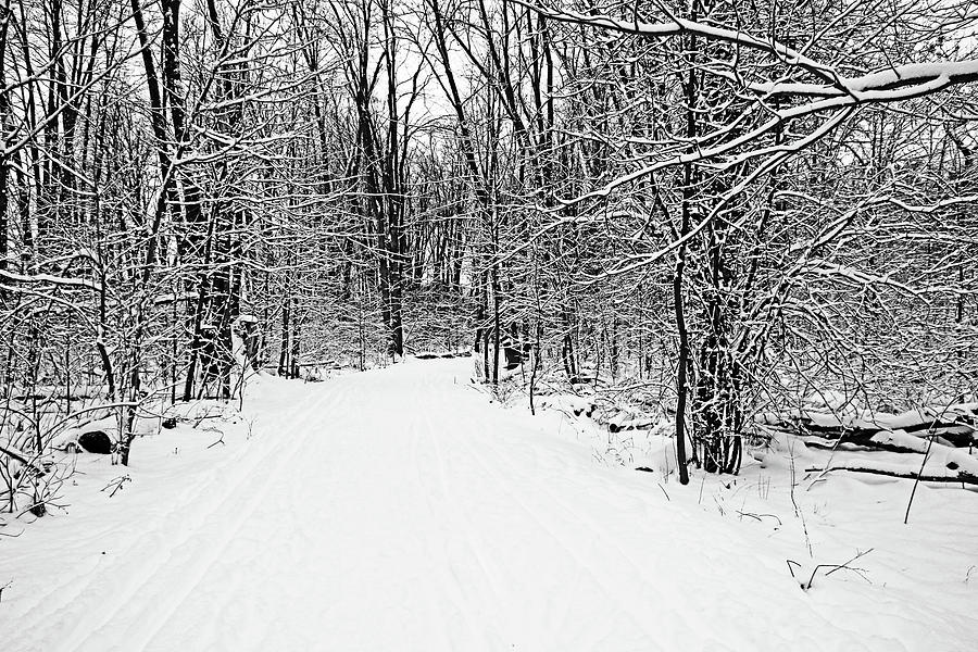 Walking A Winter Trail I Black And White Photograph by Debbie Oppermann