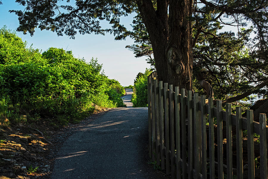 Walking Along Marginal Way in Ogunquit Maine Photograph by Toby McGuire