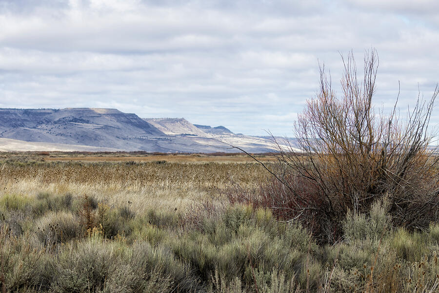 Walking Along the East Canal Trail in Malheur NWR Photograph by Belinda Greb