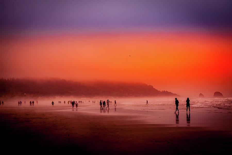 Walking at Sunset Photograph by David Patterson