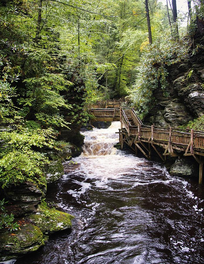 Walking Bridge at Bushkills Falls in the Poconos Mountains Photograph ...