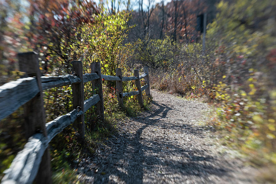 Walking in Autumn Photograph by Kimberly Mackowski