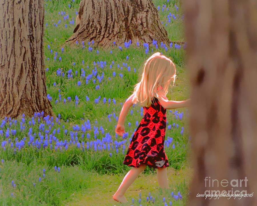 Walking In Bluebells Photograph by Tami Quigley