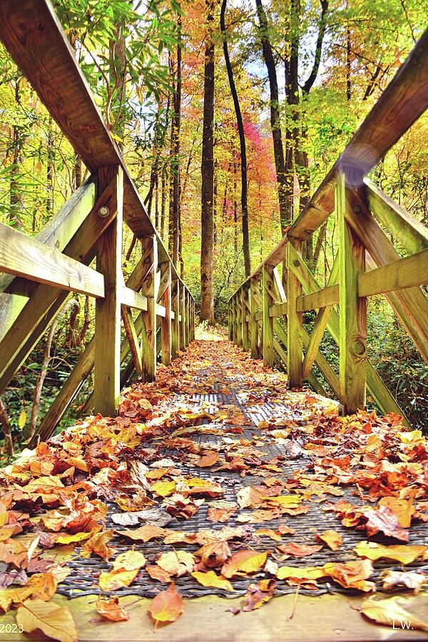 Fall Photograph - Walking Into Autumn by Lisa Wooten