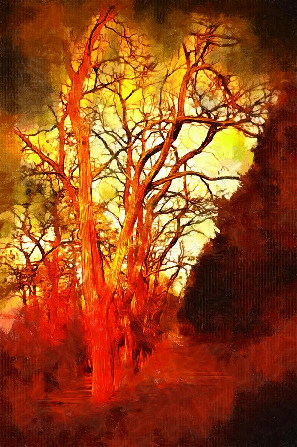 Walking into the Red Woods Mixed Media by Christopher Reed