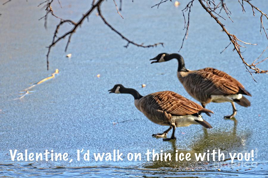 Walking on Thin Ice Photograph by Patricia Youngquist
