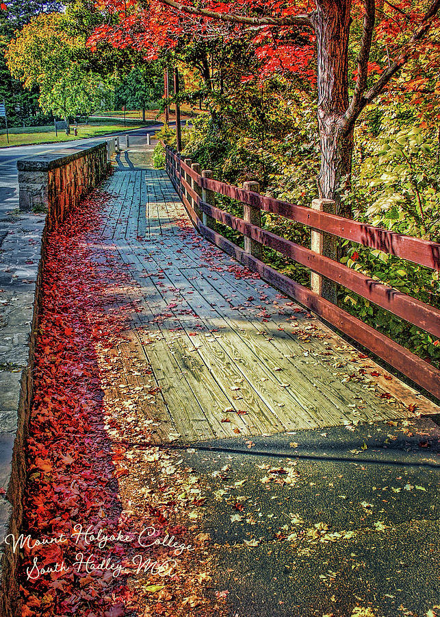 Walking Path in Autumn Photograph by Cordia Murphy