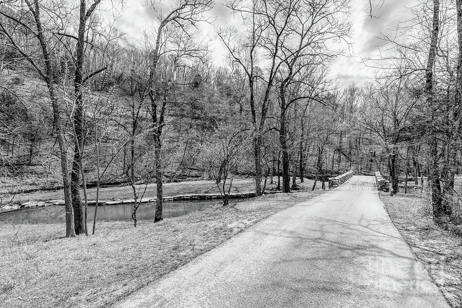Walking Path On Spring Season Day Grayscale Photograph by Jennifer White