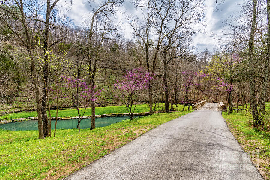 Walking Path On Spring Season Day Photograph by Jennifer White