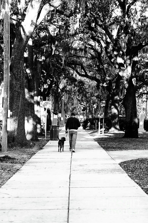 Walking the Dog in Savannah Photograph by John Rizzuto