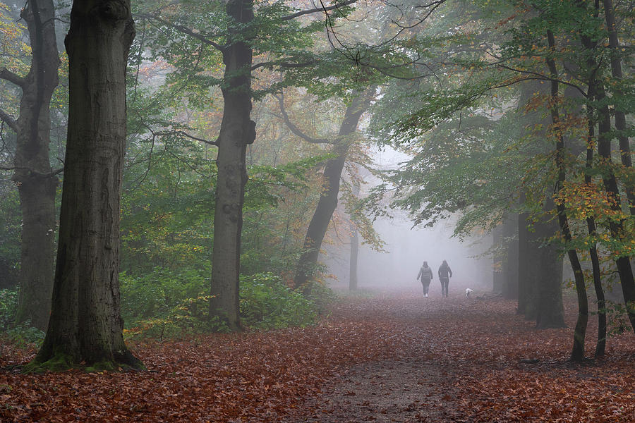 Walking the dog on a misty morning Photograph by Anges Van der Logt