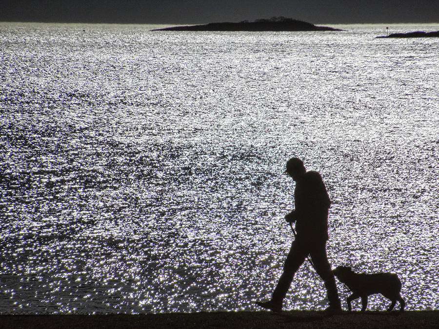 Walking the Dog on Dane Street Beach Photograph by Scott Hufford