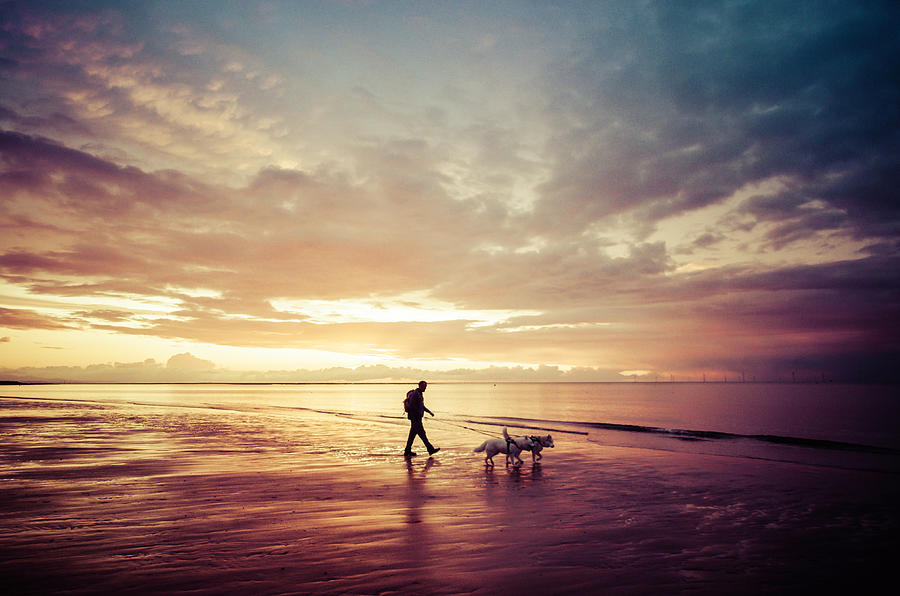 Walking the Dogs at Sunset Photograph by Spikey Mouse Photography