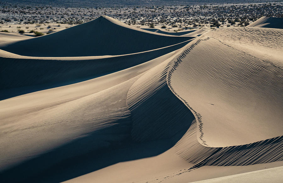 Walking The Dune Photograph