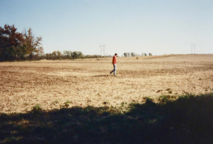 Walking the Field at Jesup Farm Painting by Troy Thomas - Fine Art America