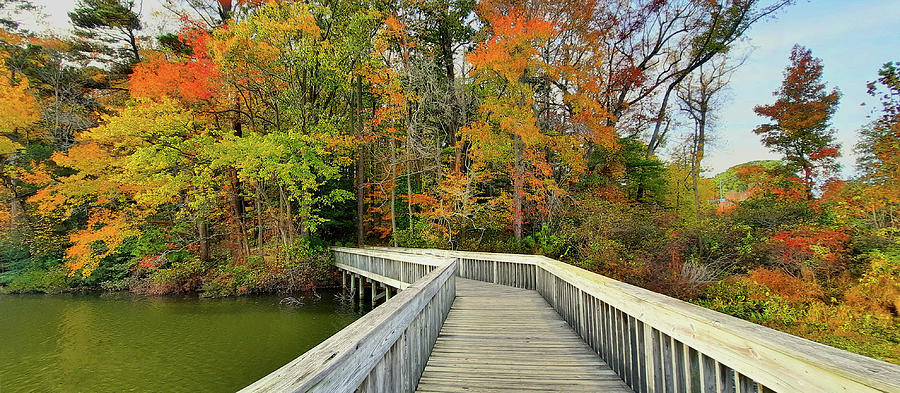 Walking the Long Bridge into Fall Photograph by Ola Allen
