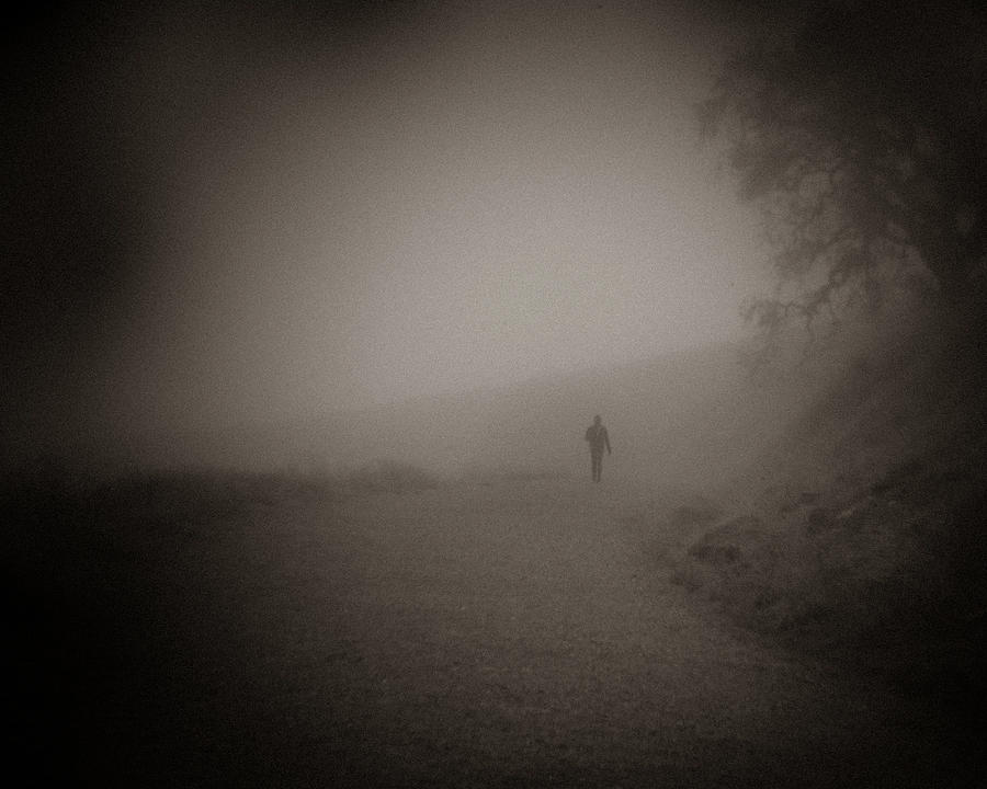Walking the path alone Photograph by Alessandra RC