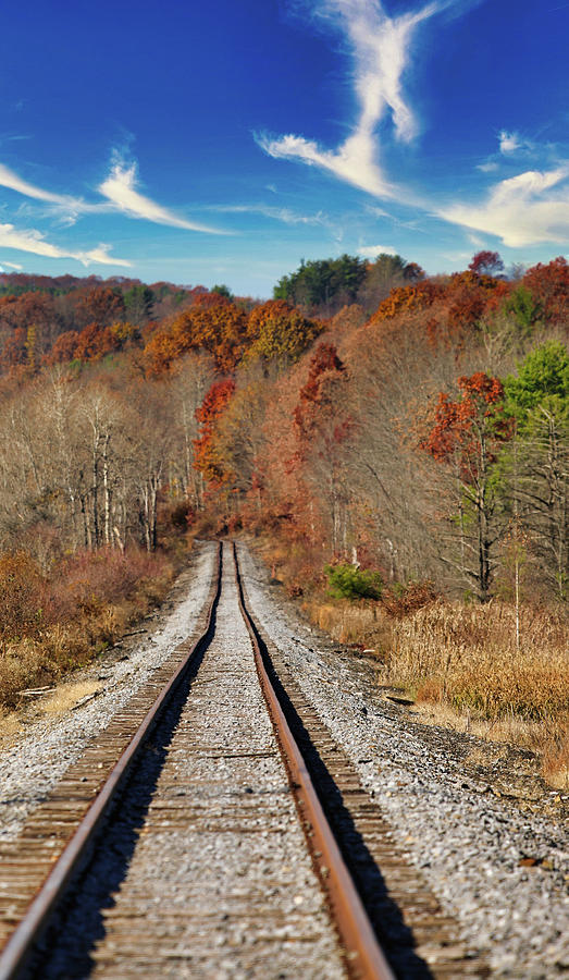Walking The Tracks Photograph by Scott Burd