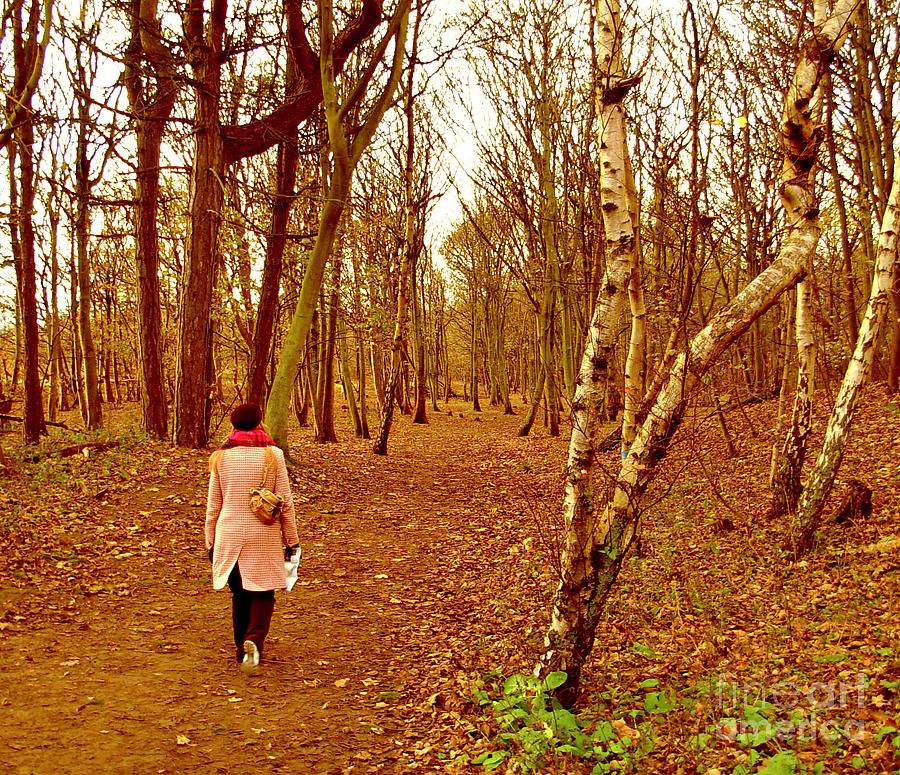 Walking Through Formby Wood  Photograph by Joan-Violet Stretch