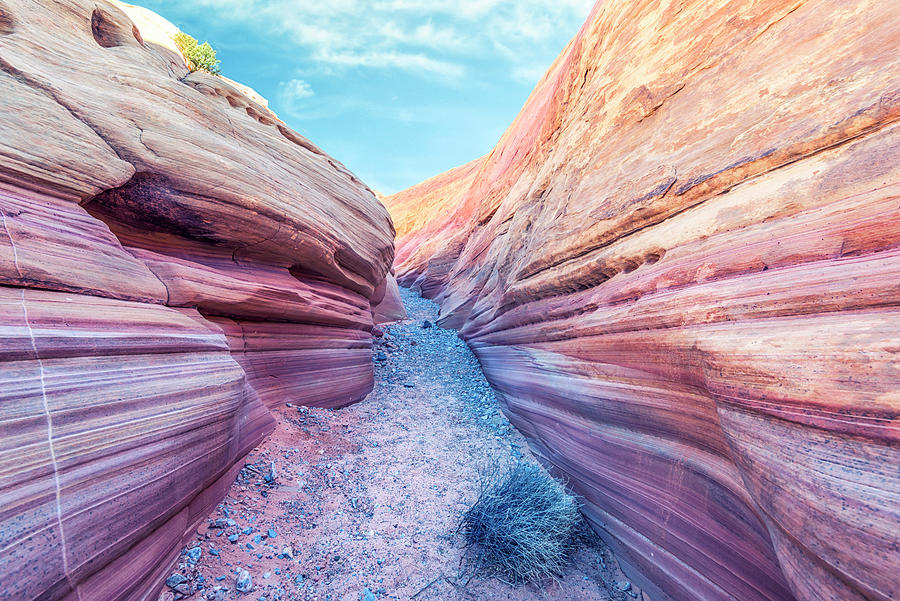 Walking Through Pink Canyon Photograph by Joseph S Giacalone