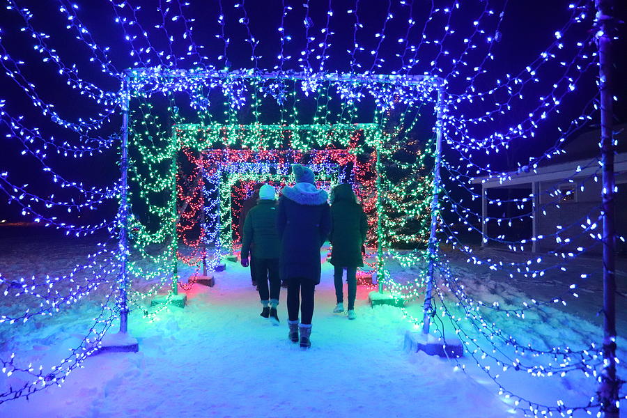 Walking Through the Christmas Lights Photograph by David T Wilkinson