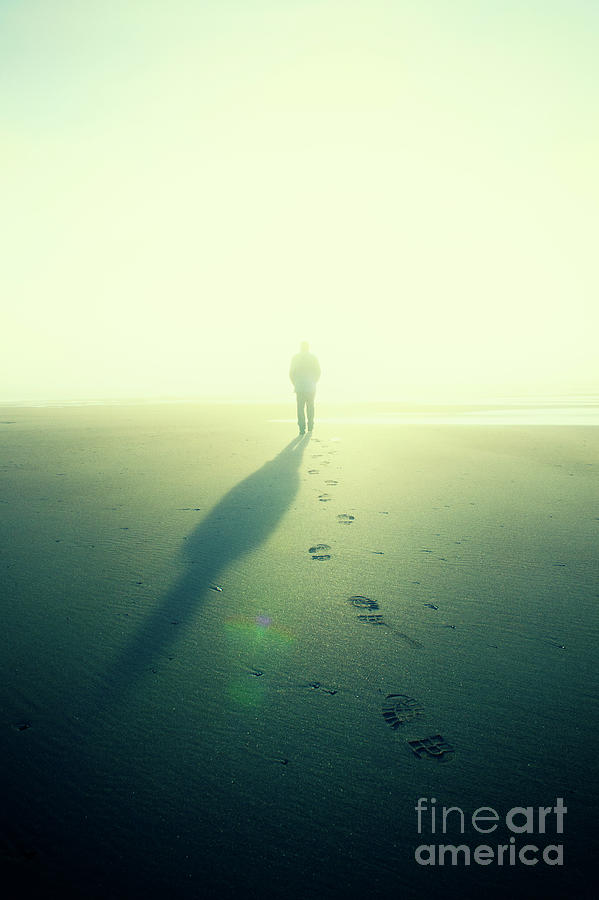Walking Towards The Light Photograph by Tim Gainey