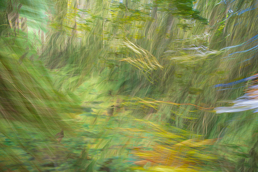 Walking With The Tall Grass Ghosts Photograph By Kevin Eatinger Fine Art America 