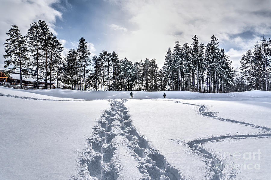 Walks in the Snow Photograph by Eden Watt Walks in the Snow Photograph by Eden Watt
