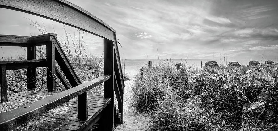 Walkway into Paradise Black and White Photograph by Debra and Dave Vanderlaan