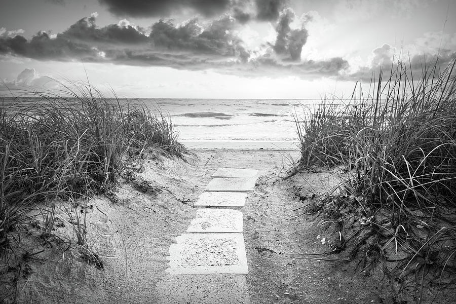 Walkway through the Dunes in Black and White Photograph by Debra and Dave Vanderlaan