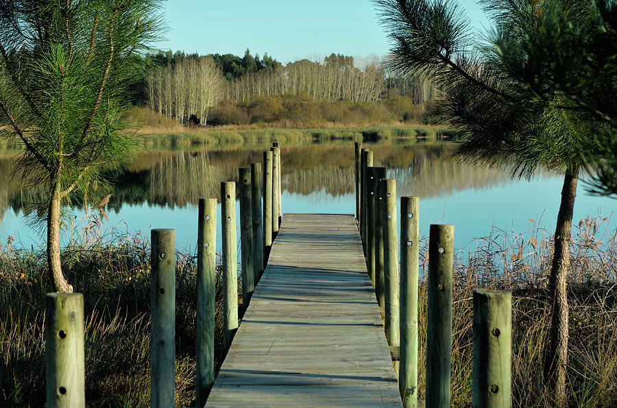 Walkway to Ervedeira Lake Photograph by Angelo DeVal