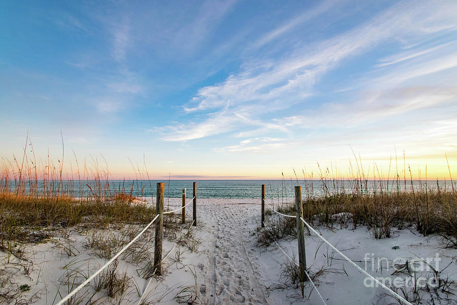 Walkway to the Beach at Golden Hour Photograph by Beachtown Views