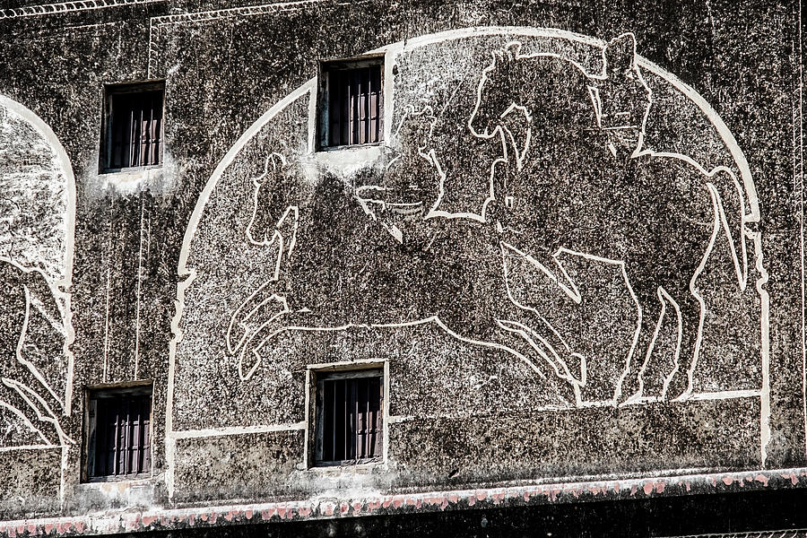 Wall Engraving, Nawalgarh, Rajasthan Photograph by Lie Yim