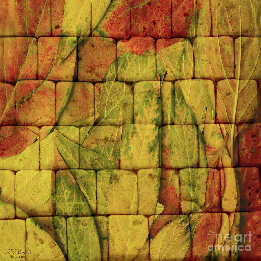 Autumn Wall Digital Art by Mehran Akhzari