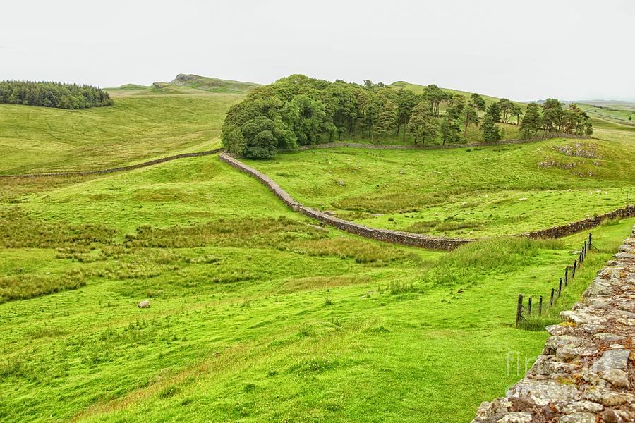 Wall Of Hadrian In England Photograph