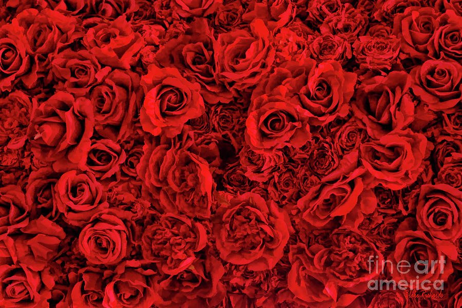 Wall Of Roses Photograph by Blake Richards