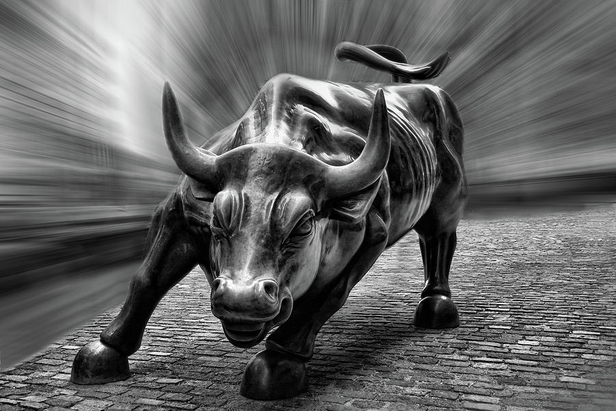 Wall Street Bull Black and White Photograph by Wes and Dotty Weber